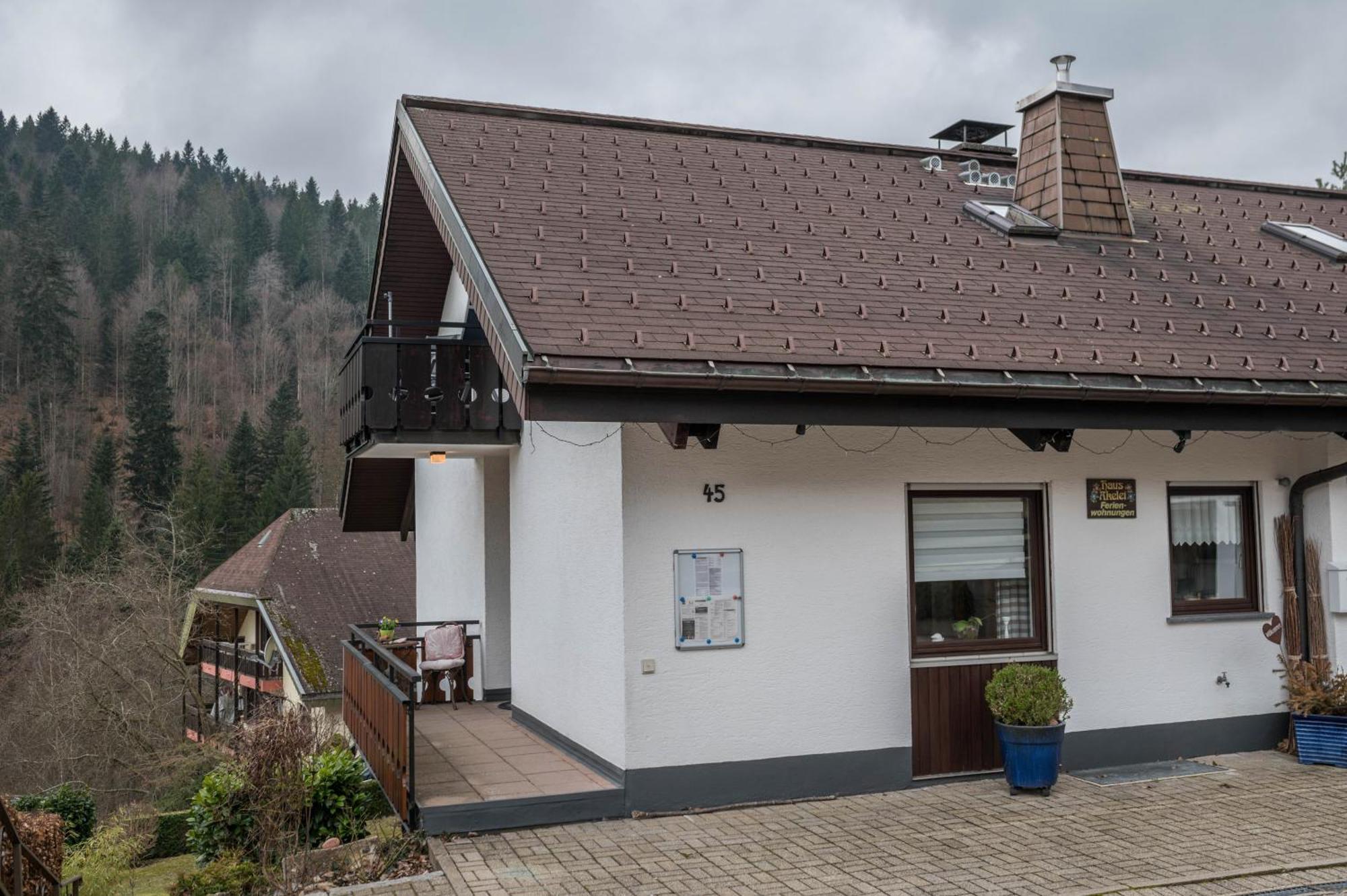 Haus Akelei Apartment Todtmoos Ngoại thất bức ảnh