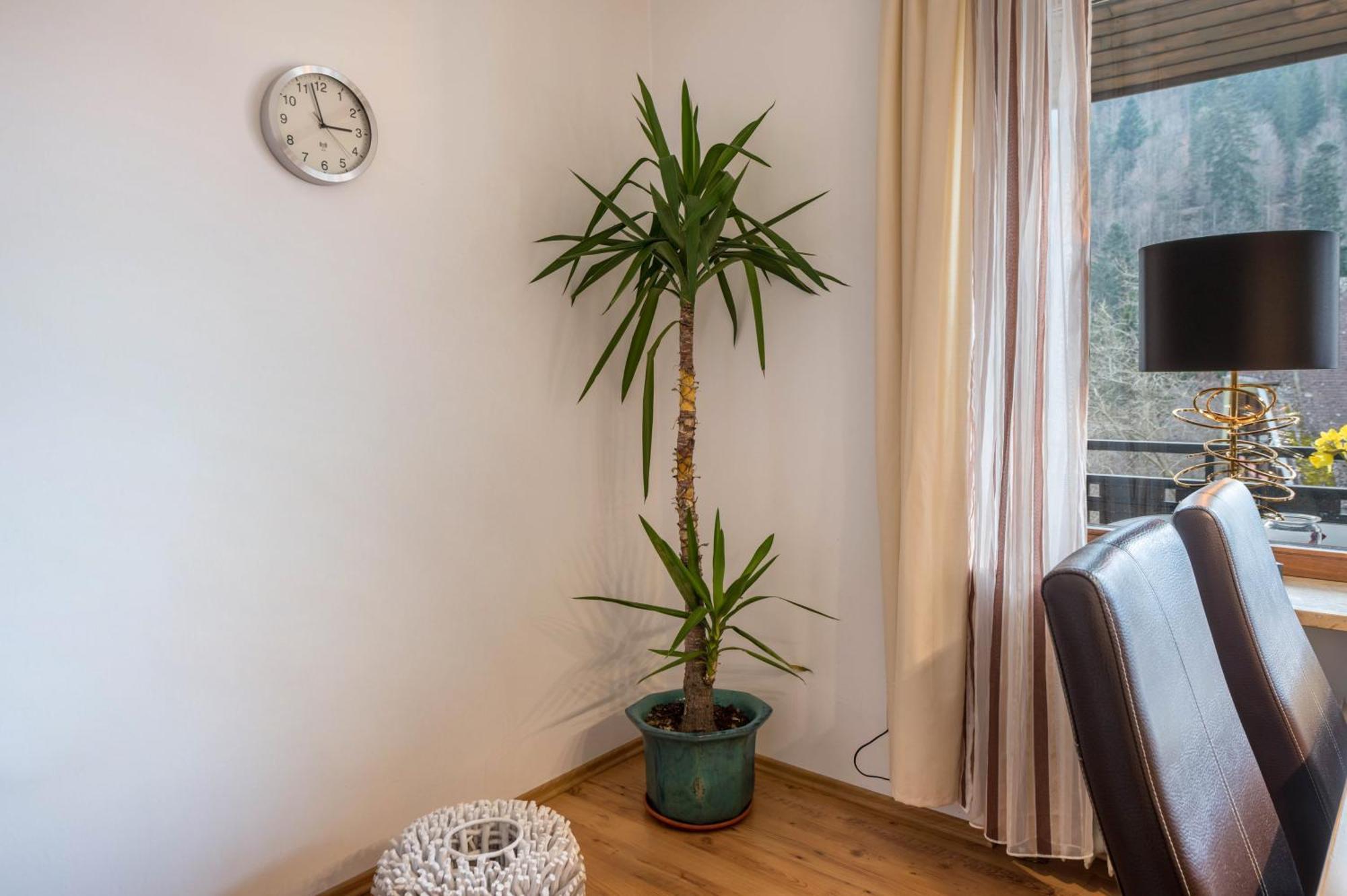 Haus Akelei Apartment Todtmoos Ngoại thất bức ảnh